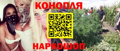 индика Бузулук