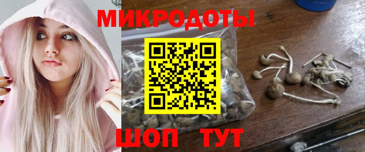 Галлюциногенные грибы прущие грибы Энгельс
