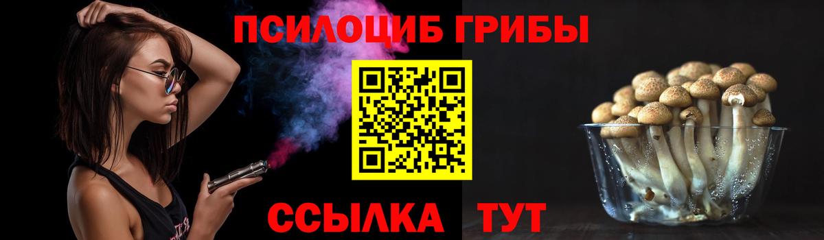 Энгельс  Псилоцибиновые грибы Magic Shrooms  Вход с VPN 